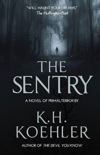 Cover image for The Sentry