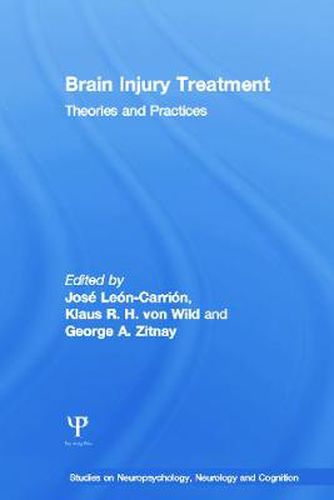 Cover image for Brain Injury Treatment: Theories and Practices