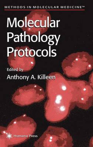 Cover image for Molecular Pathology Protocols