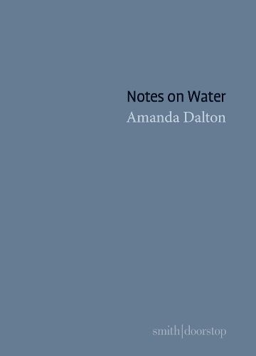 Cover image for Notes on Water