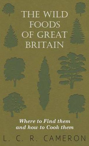 Cover image for The Wild Foods Of Great Britain Where To Find Them And How To Cook Them