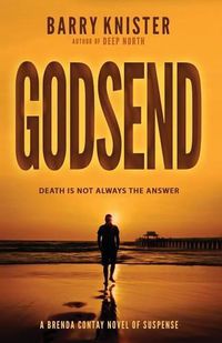 Cover image for Godsend