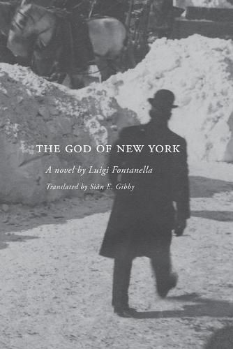 Cover image for The God of New York