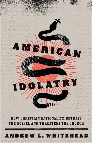Cover image for American Idolatry