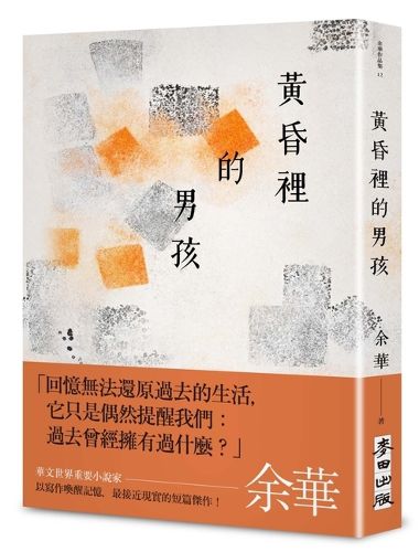 Cover image for The Boy in Dusk