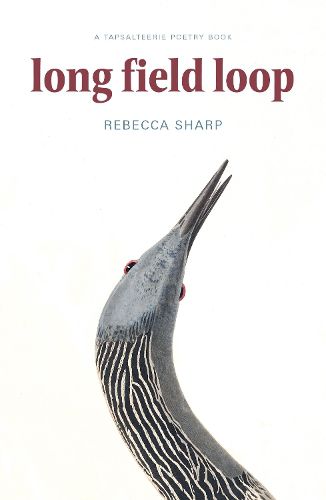 Cover image for Long Field Loop