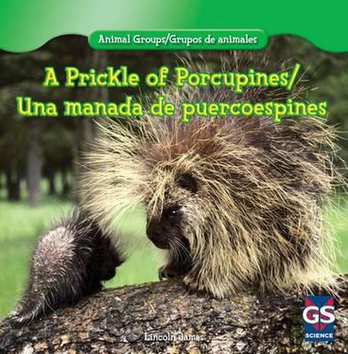 A Prickle of Porcupines/Una Manada de Puercoespines