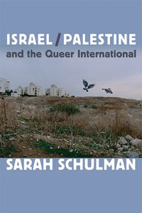 Cover image for Israel/Palestine and the Queer International