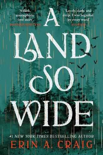 Cover image for A Land So Wide