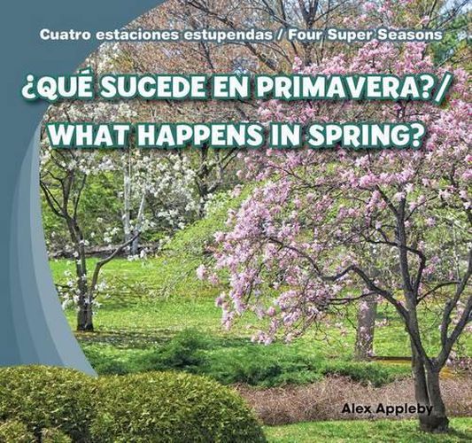 ?Que Sucede En Primavera? / What Happens in Spring?