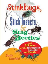 Cover image for Stinkbugs, Stick Insects and Stag Beetles: And 18 More of the Strangest Insects on Earth