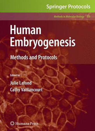 Cover image for Human Embryogenesis: Methods and Protocols