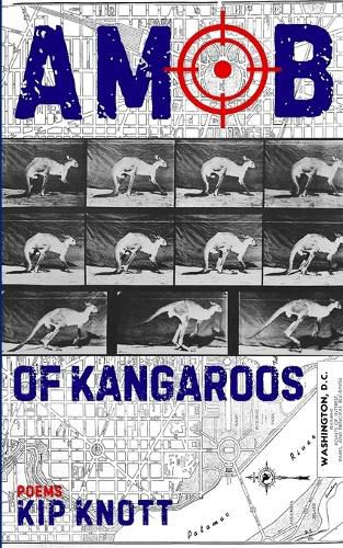 Cover image for A Mob of Kangaroos