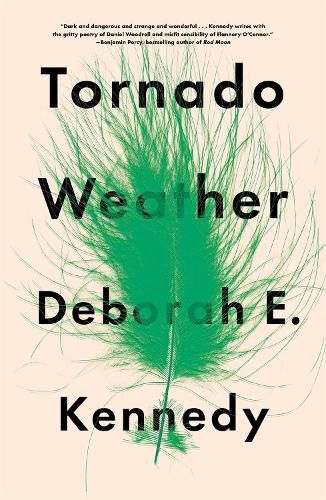 Cover image for Tornado Weather