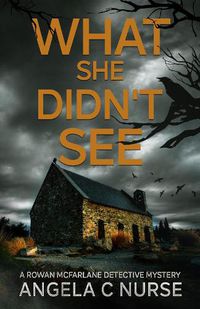 Cover image for What She Didn't See