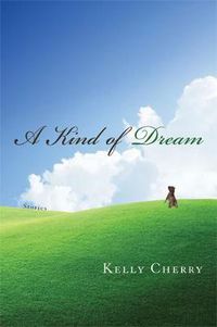 Cover image for A Kind of Dream: Stories