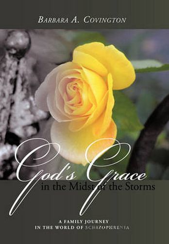 Cover image for God's Grace in the Midst of the Storms