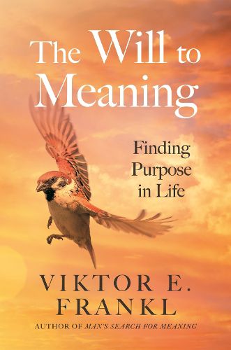 Cover image for The Will to Meaning