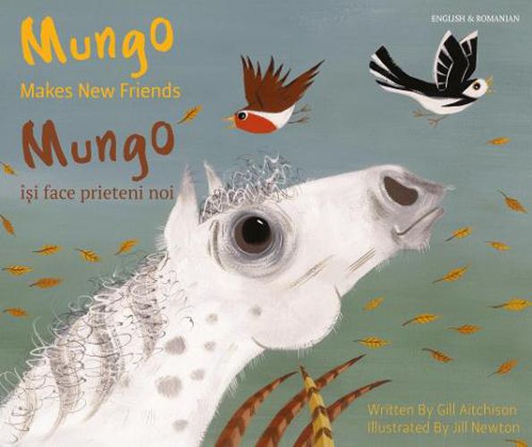 Cover image for Mungo Makes New Friends Romanian/English