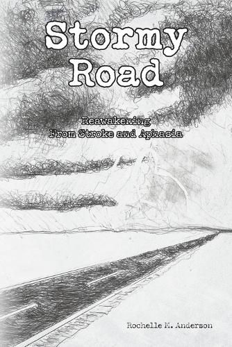 Cover image for Stormy Road