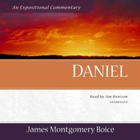 Cover image for Daniel: An Expositional Commentary