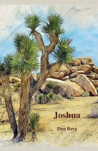 Cover image for Joshua