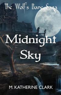 Cover image for Midnight Sky