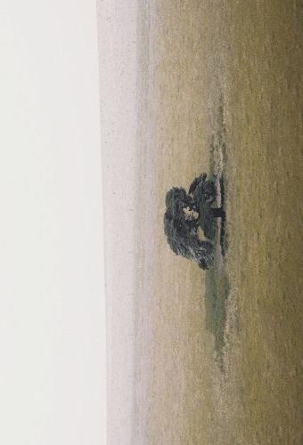 Cover image for Ground