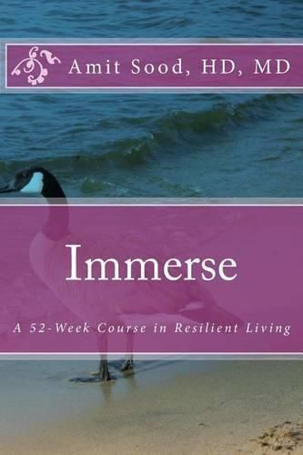 Cover image for Immerse: A 52-Week Course in Resilient Living: A Commitment to Live With Intentionality, Deeper Presence, Contentment, and Kindness.
