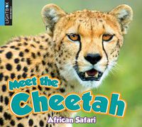 Cover image for Meet the Cheetah