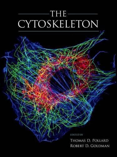 The Cytoskeleton