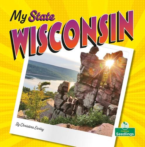 Cover image for Wisconsin