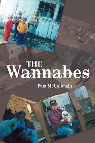 Cover image for The Wannabes