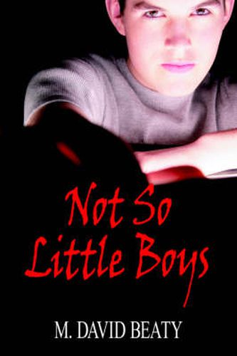 Cover image for Not So Little Boys