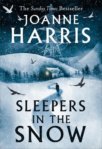 Cover image for Sleepers in the Snow