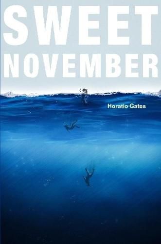 Cover image for Sweet November