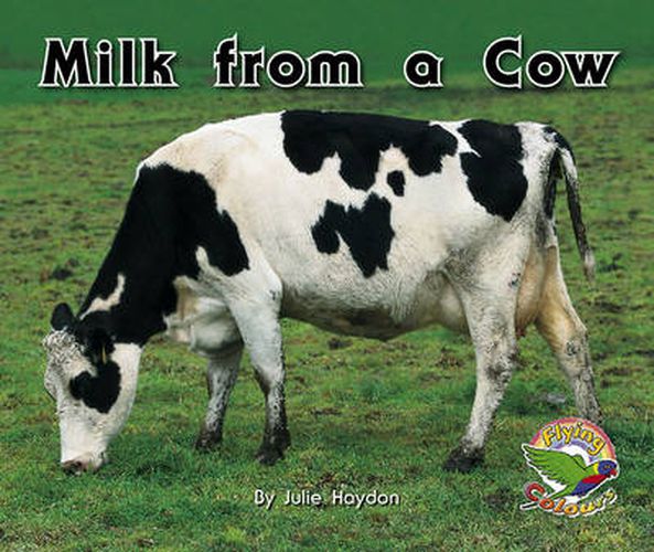 Milk from a Cow