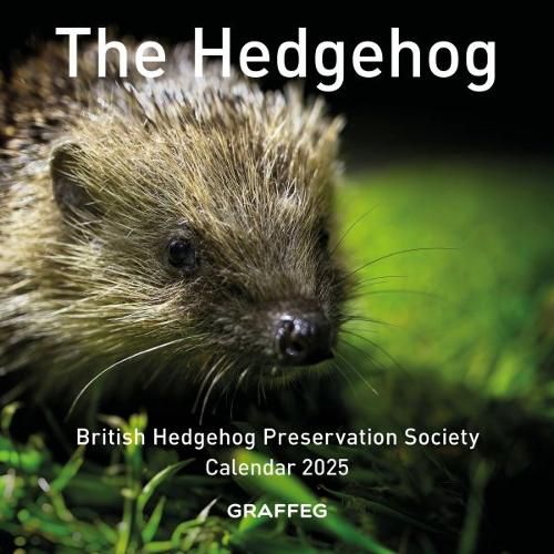 Cover image for The The Hedgehog Calendar 2025 2025