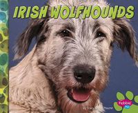 Cover image for Irish Wolfhounds