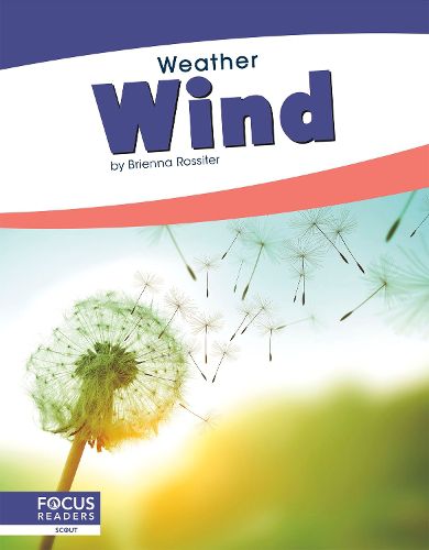 Cover image for Weather: Wind