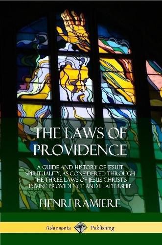 Cover image for The Laws of Providence