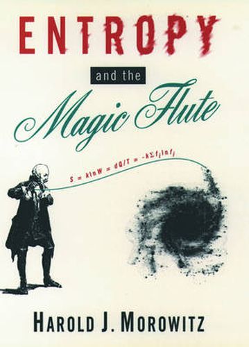 Cover image for Entropy and the Magic Flute