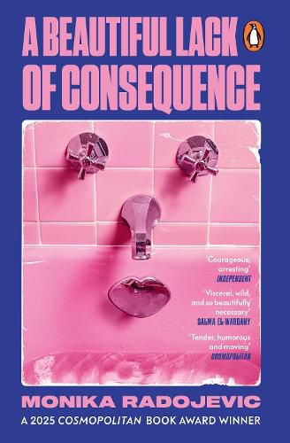 Cover image for A Beautiful Lack of Consequence