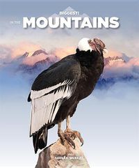 Cover image for In the Mountains