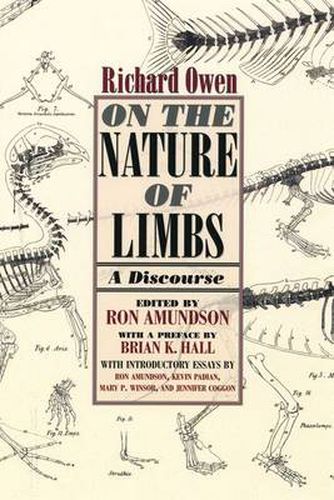 On the Nature of Limbs: A Discourse