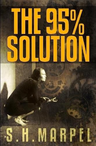 Cover image for The 95%% Solution