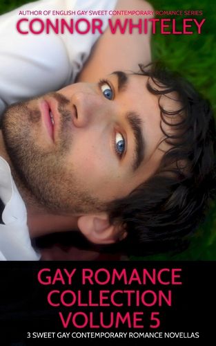 Cover image for Gay Romance Collection Volume 5