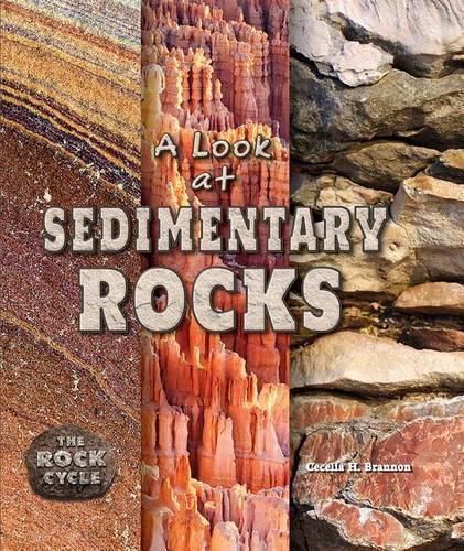 Cover image for A Look at Sedimentary Rocks