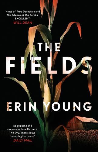 The Fields: Dark, immersive and seriously gripping