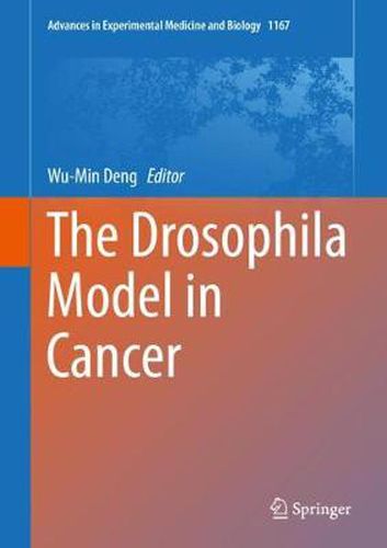 Cover image for The Drosophila Model in Cancer